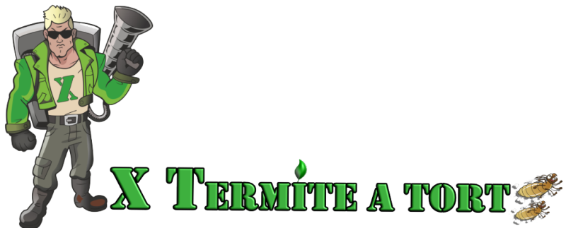 Traitement contre les termites Médoc